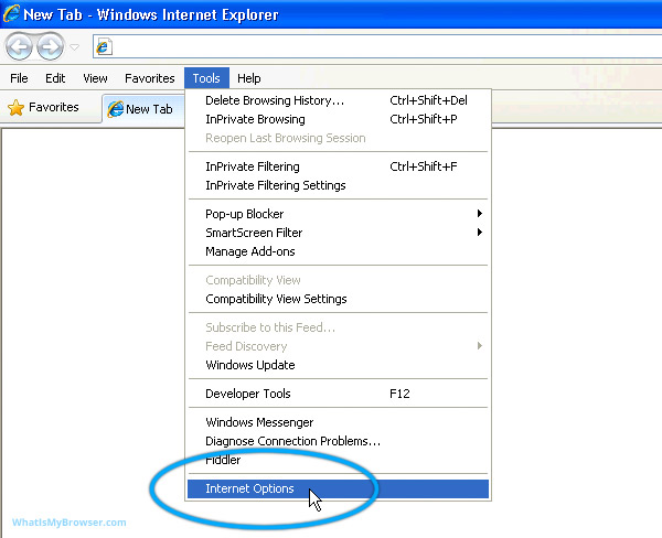 The tools menu for Internet Explorer 6/7/8
