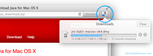 The Safari downloading icon.