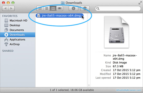 The Java DMG file in Finder.