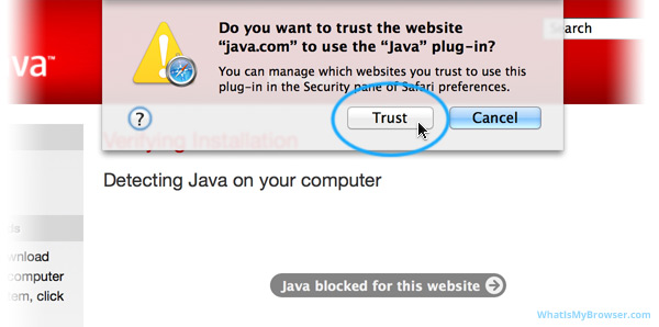 Do you want to trust the website 'java.com' to use the 'Java' plug-in?