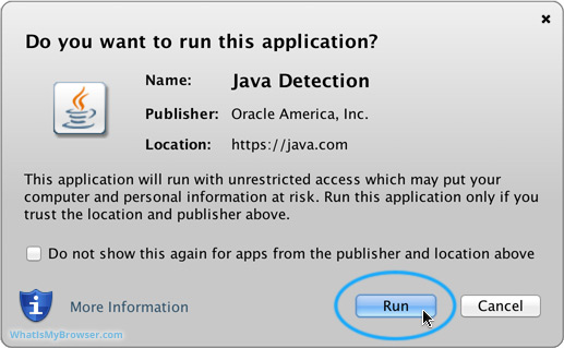 The security prompt from Java itself