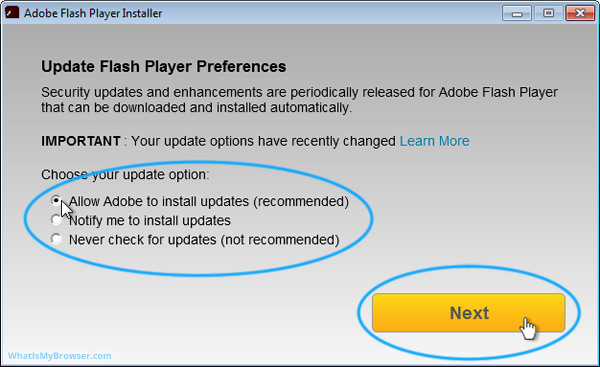 The installer prompts you to choose your Auto-updates option