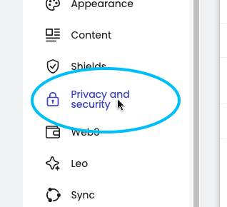 The menu showing the Privacy and security option