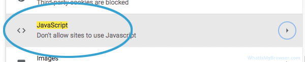 Screenshot of the JavaScript item