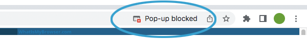 Chrome's alert in the Address Bar shows you that a popup has been blocked.