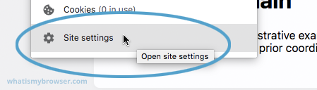 A screenshot of the Site Settings item in the menu.