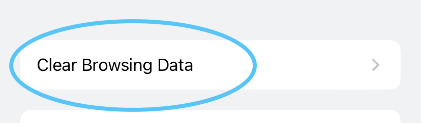 The Privacy menu, showing the Clear Browsing Data item