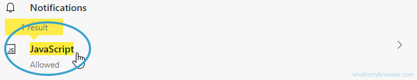 Click the JavaScript section.