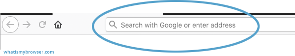 The Firefox address bar