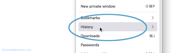 The basic view of the History menu