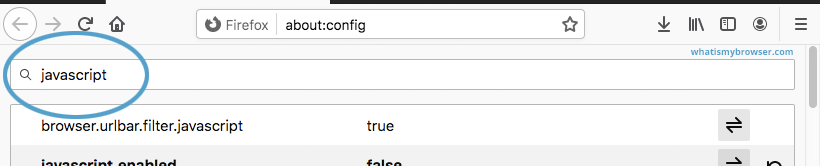 The advanced settings being narrowed down by searching for javascript