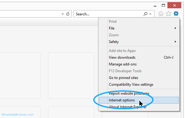 The Internet Options menu item