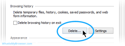 The Delete button on the main Internet Options screen