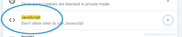 The JavaScript option in the list, showing that it's disabled