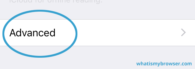 The Advanced option in the Safari settings